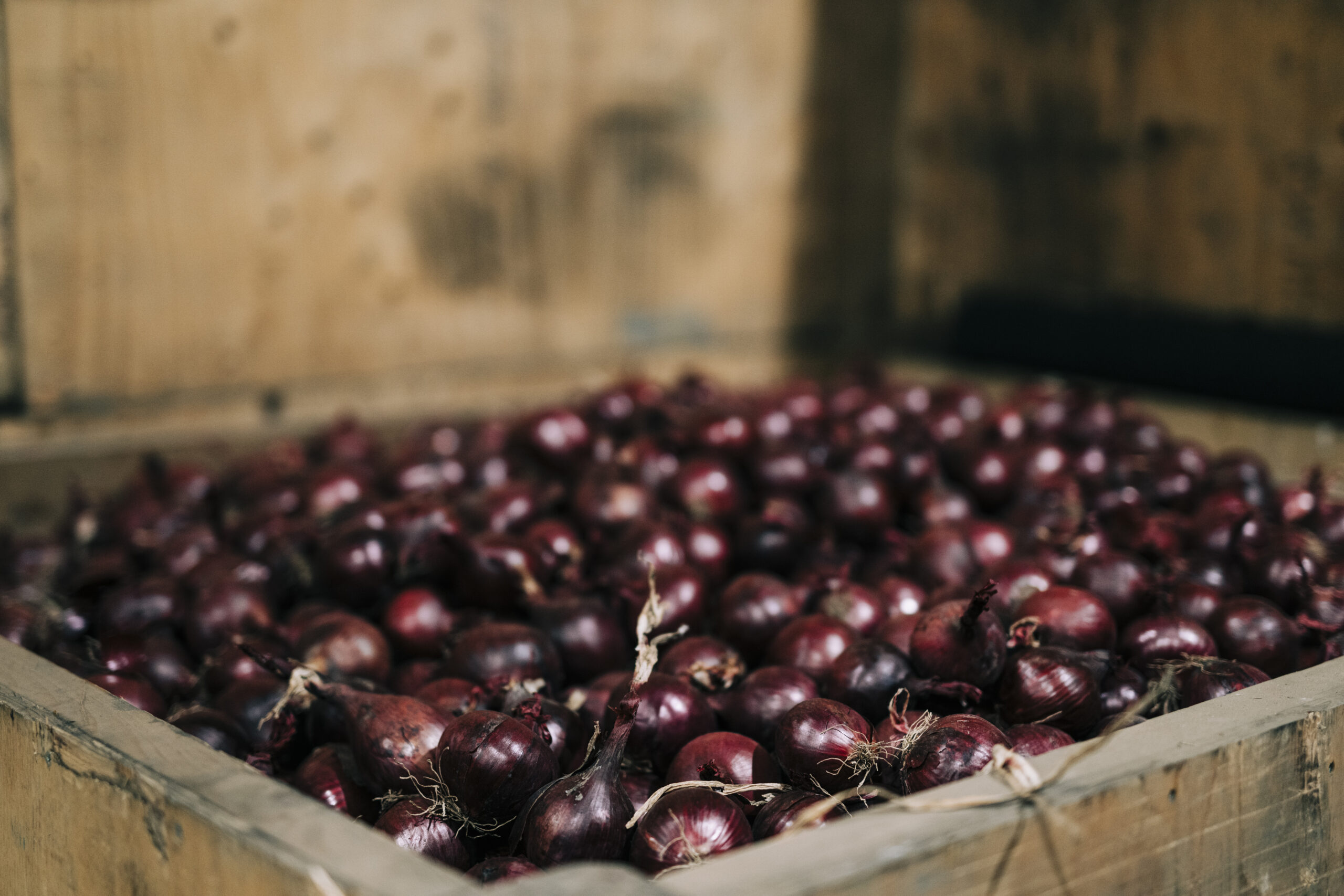 Stockholmsgården 2025-3175