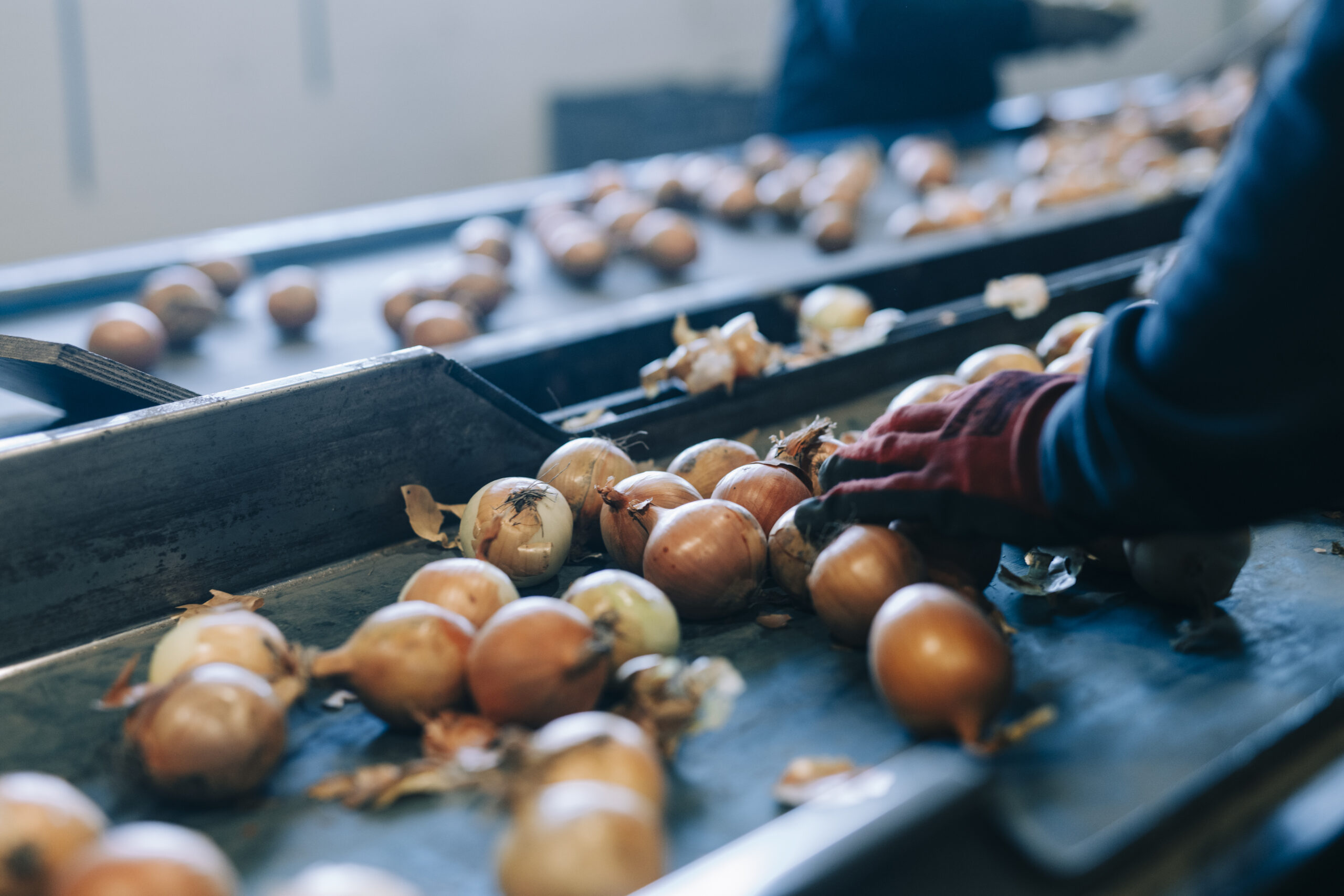 Stockholmsgården 2025-3206